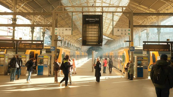 Ateliers Culinaires en Pratique : Adoptez une Cuisine Saine et Écoresponsable